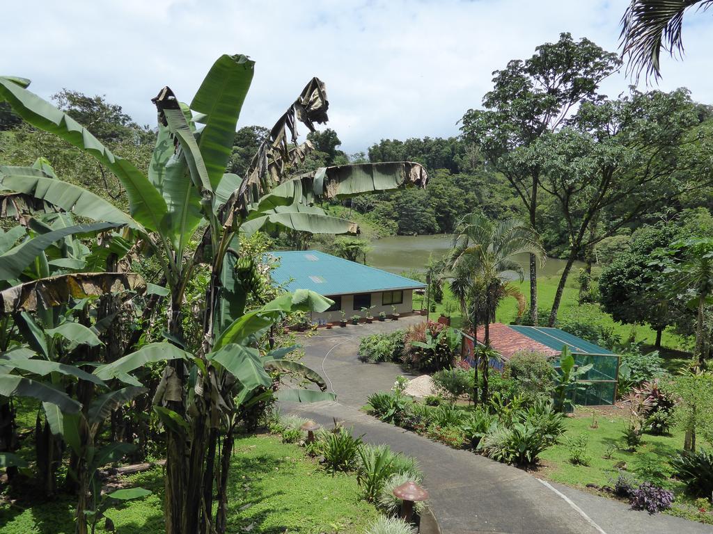 Lucky Bug Bed And Breakfast Nuevo Arenal Quarto foto